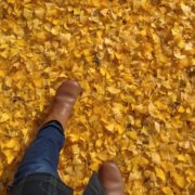 秋の足元