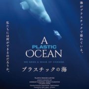 マアルシネマ『プラスチックの海』上映会