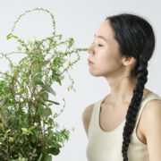 2025年 人気アイテムランキング（新規・リピーター別）